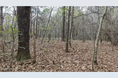 0 Wood Lane, Shannon, NC 28386 - Photo 107
