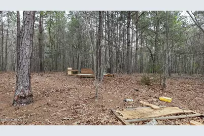 0 Wood Lane, Shannon, NC 28386 - Photo 97