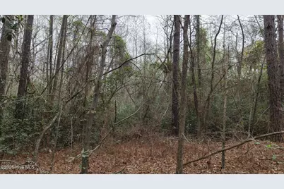 0 Wood Lane, Shannon, NC 28386 - Photo 129