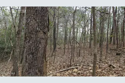 0 Wood Lane, Shannon, NC 28386 - Photo 103
