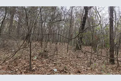 0 Wood Lane, Shannon, NC 28386 - Photo 125