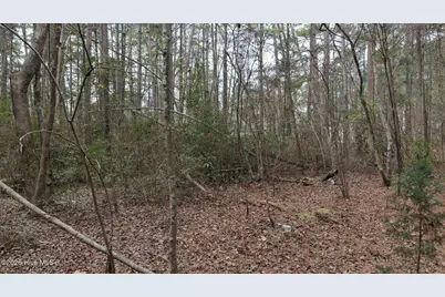 0 Wood Lane, Shannon, NC 28386 - Photo 115