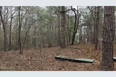 0 Wood Lane, Shannon, NC 28386 - Photo 101