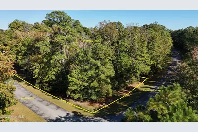 42 Winding Creek Drive, Oriental, NC 28571 - Photo 5