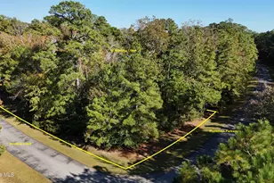 42 Winding Creek Dr, Oriental, NC 28571 - Photo 5