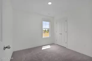 245 Buggy Top Ln, Autryville, NC 28318 - Photo 29