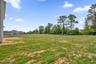 245 Buggy Top Ln, Autryville, NC 28318 - Photo 39
