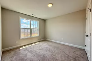 253 Crowville St, Raeford, NC 28376 - Photo 27