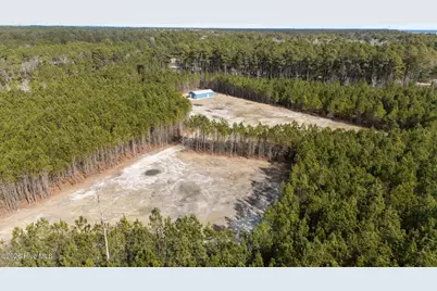 1750 White Farm Road, Oriental, NC 28571 - Photo 3