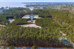 1750 White Farm Rd, Oriental, NC 28571 - Photo 1