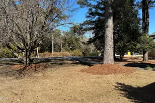 1935 Caracara Dr, New Bern, NC 28560 - Photo 3