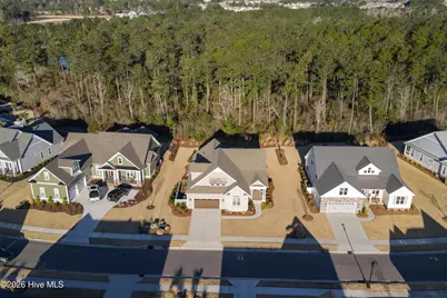 4271 Cobleskill Drive, Leland, NC 28451 - Photo 43