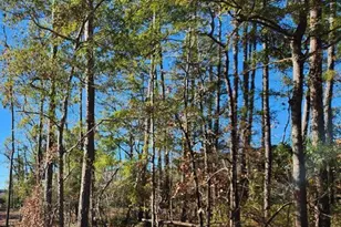 Lot 197 Fletcher Key St, Southport, NC 28461 - Photo 1