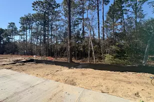 2031 Oakton Dr, Southport, NC 28461 - Photo 21