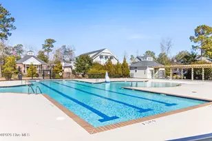 204 Cornubia Dr, Castle Hayne, NC 28429 - Photo 43