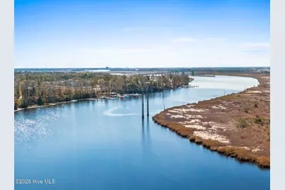 204 Cornubia Drive, Castle Hayne, NC 28429 - Photo 49
