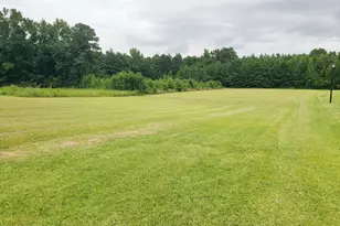 11039 Peacock Rd, Chadbourn, NC 28431 - Photo 1