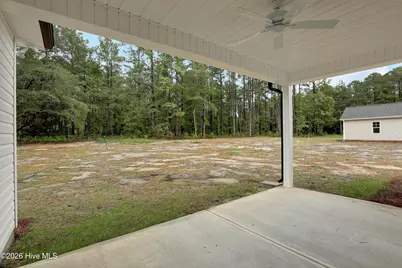 62 Peach Court, Burgaw, NC 28425 - Photo 25