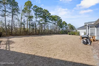 80 Radiance Way, Hampstead, NC 28443 - Photo 45