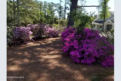 104 Elm Court, Pine Knoll Shores, NC 28512 - Photo 59