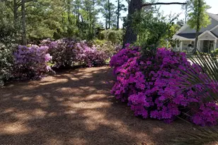 104 Elm Ct, Pine Knoll Shores, NC 28512 - Photo 59