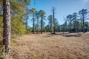5544 Creek Pointe Rd, New Bern, NC 28560 - Photo 73