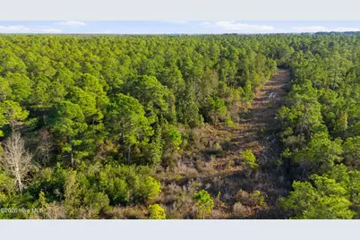 5.5 Ac Plantation Road, Wilmington, NC 28411 - Photo 11