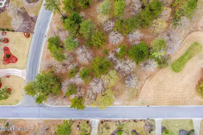 106 Cape Jasmine Lane, Wallace, NC 28466 - Photo 5