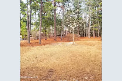 735 W Philadelphia Avenue, Pinebluff, NC 28373 - Photo 31