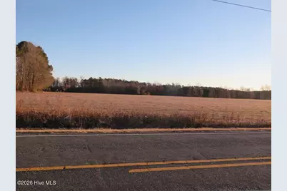 Tract 3 E Raynham Road, Fairmont, NC 28340 - Photo 3