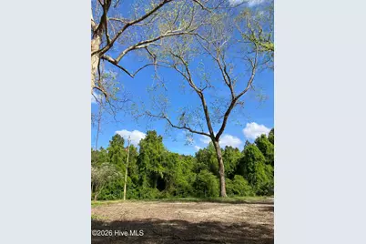 316 Bayview Road, Bayview, NC 27808 - Photo 7
