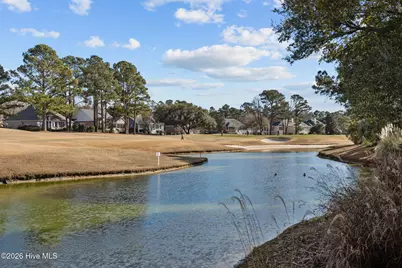 409 Black Diamond Drive, Wilmington, NC 28411 - Photo 37