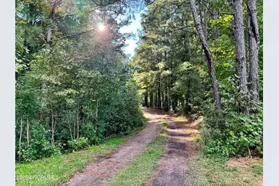 81 Beans Bend, Chocowinity, NC 27817 - Photo 5