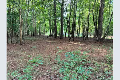 81 Beans Bend, Chocowinity, NC 27817 - Photo 1
