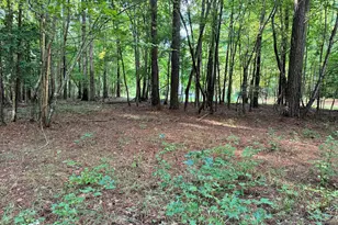 81 Beans Bnd, Chocowinity, NC 27817 - Photo 1