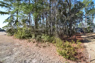 917 Sea Holly Court, New Bern, NC 28560 - Photo 3