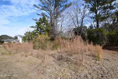 1616 Caracara Drive, New Bern, NC 28560 - Photo 3