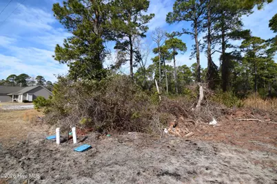 2202 Caracara Drive, New Bern, NC 28560 - Photo 3