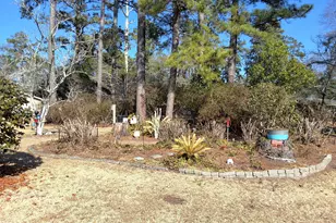 503 Anderson St, Tabor City, NC 28463 - Photo 97
