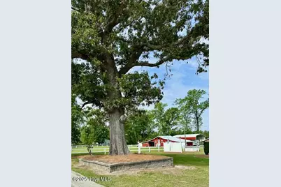 4998 Peacock Road, Whiteville, NC 28472 - Photo 13