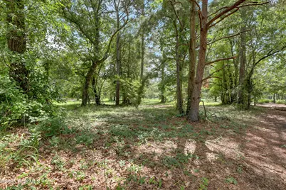 176 Red Fox Run Drive, Wallace, NC 28466 - Photo 19