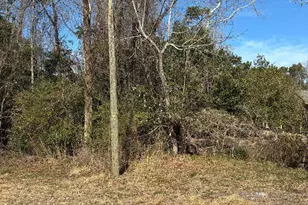 531 Mosley St, Wilmington, NC 28405 - Photo 1