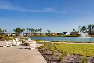 3421 Laughing Gull Ter, Wilmington, NC 28412 - Photo 59
