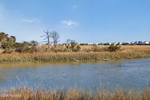 1055 Tide Ridge Dr, Holden Beach, NC 28462 - Photo 43