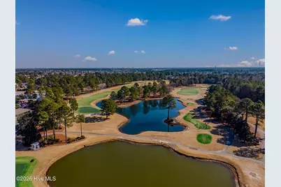 1134 Grandiflora Drive, Leland, NC 28451 - Photo 49