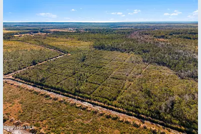 Tr-2 75.34 Ac, Bolivia, NC 28422 - Photo 11