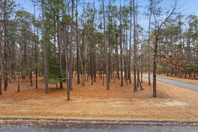 3497 Fairway Crest Drive SW, Shallotte, NC 28470 - Photo 19