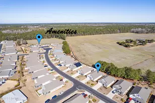 542 Slippery Rock Way, Carolina Shores, NC 28467 - Photo 49