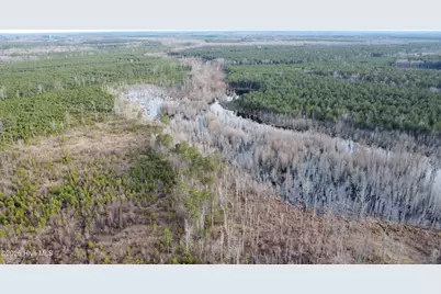 943 Off 943 Governors Rd Nc 308 Road, Windsor, NC 27983 - Photo 5