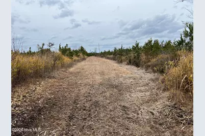 943 Off 943 Governors Rd Nc 308 Road, Windsor, NC 27983 - Photo 35
